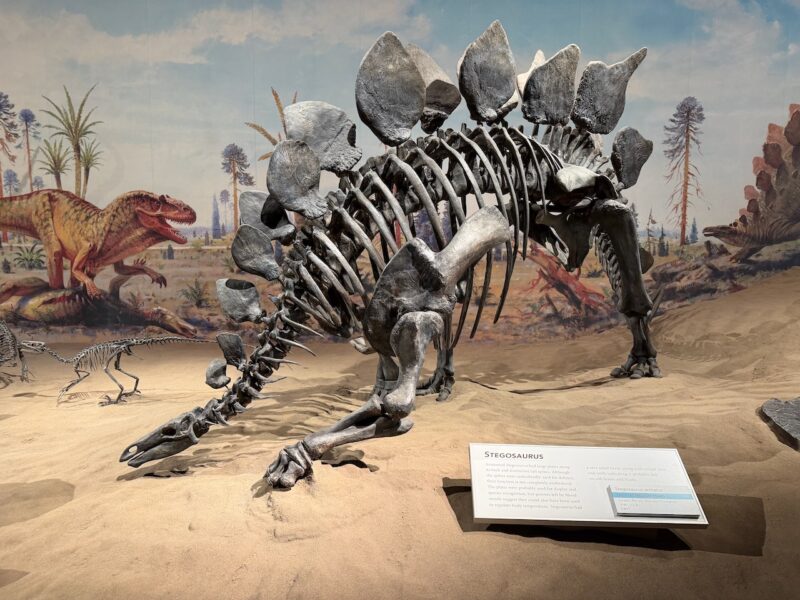 PlanetSKI Heads to Dinosaur Country